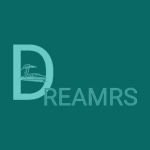 DREAMRS Lab logo